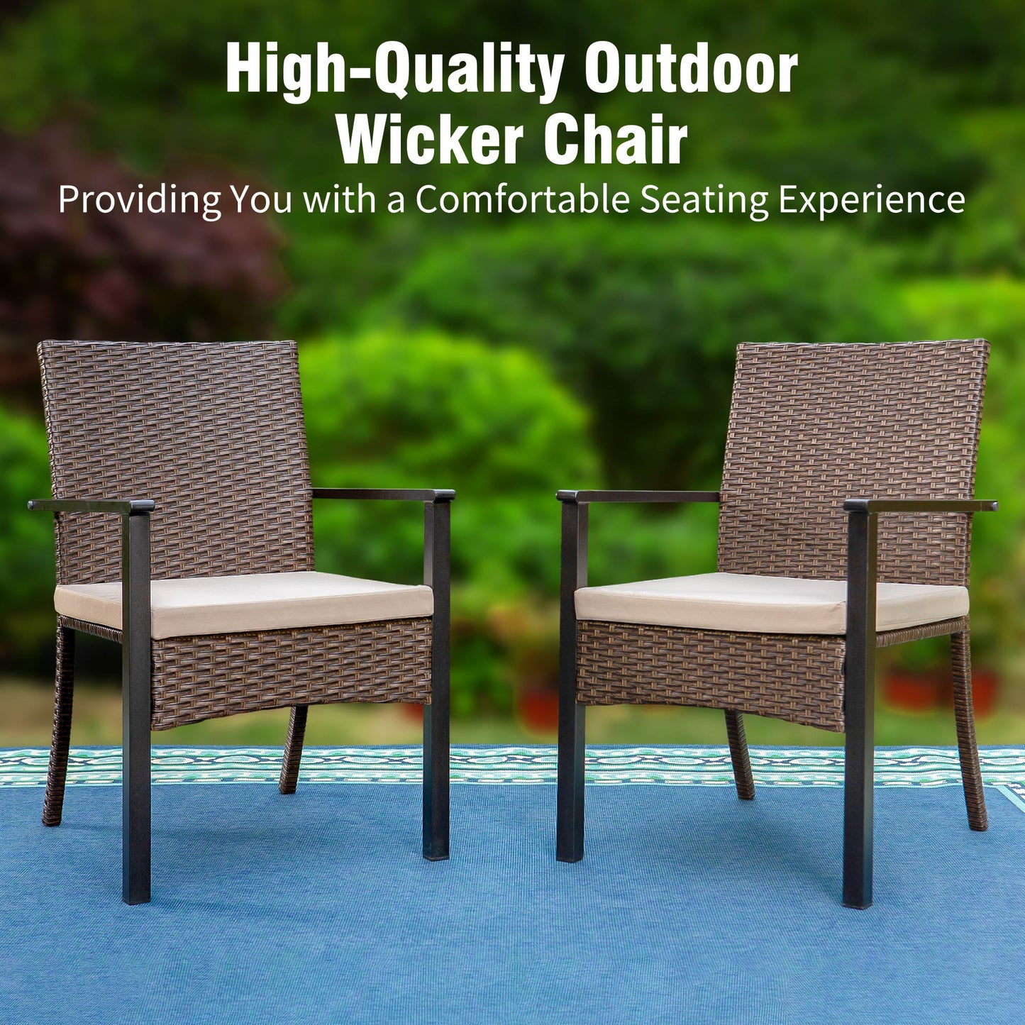 Captiva Designs Outdoor Patio All-weather Wicker Dining Chairs with Thick Cushion