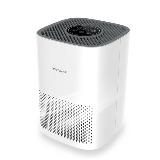 Captiva Designs Air Purifier with H13 True HEPA Filter & 22dB Quiet Sleep Mode, White