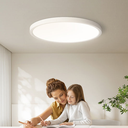 Lac D' Lightings Minimalist Creative LED Ceiling Light