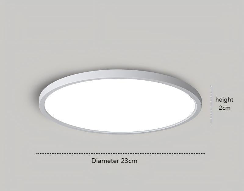 Lac D' Lightings Minimalist Creative LED Ceiling Light